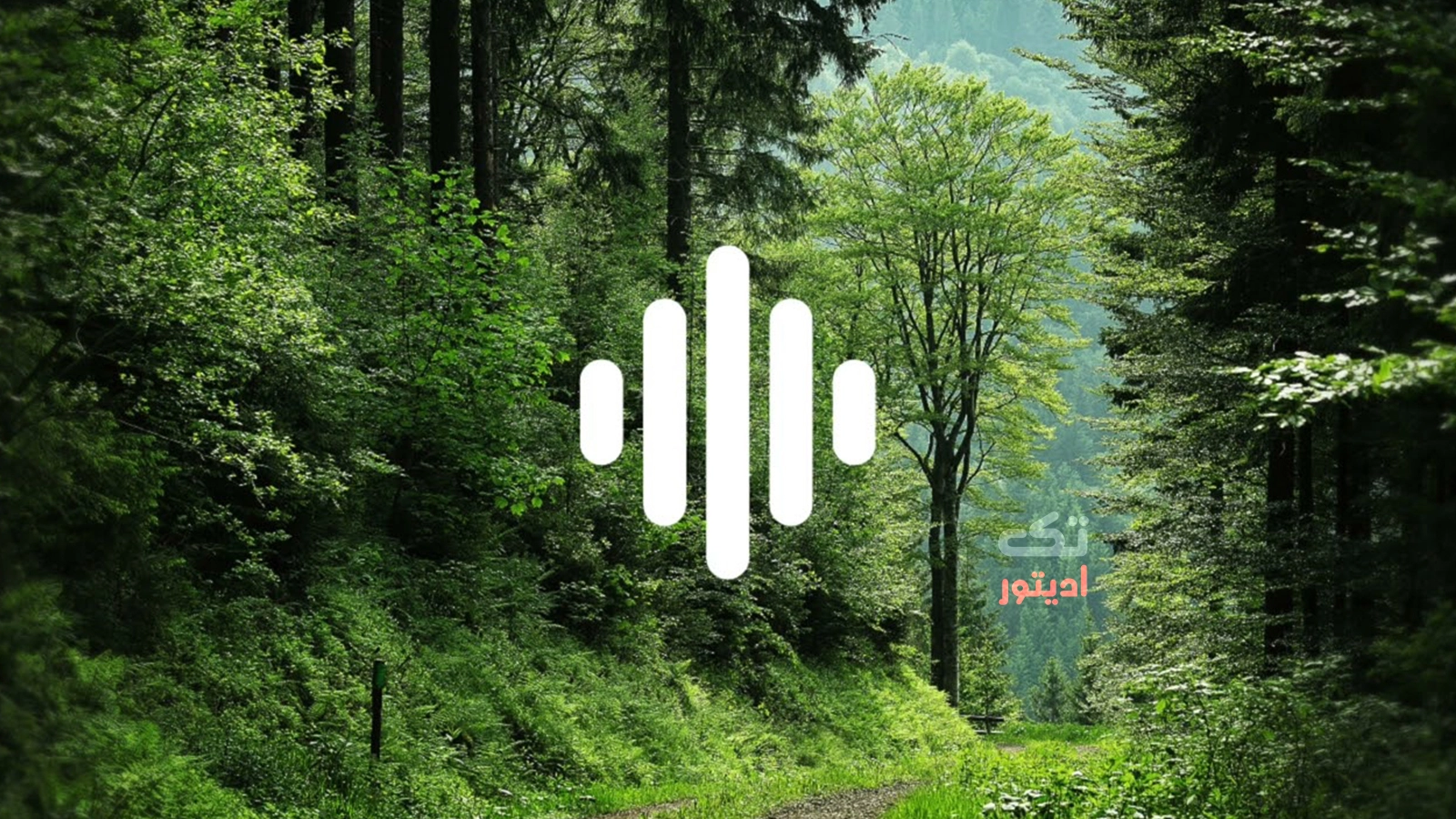 ساند-افکت-صدا-های-محیطی