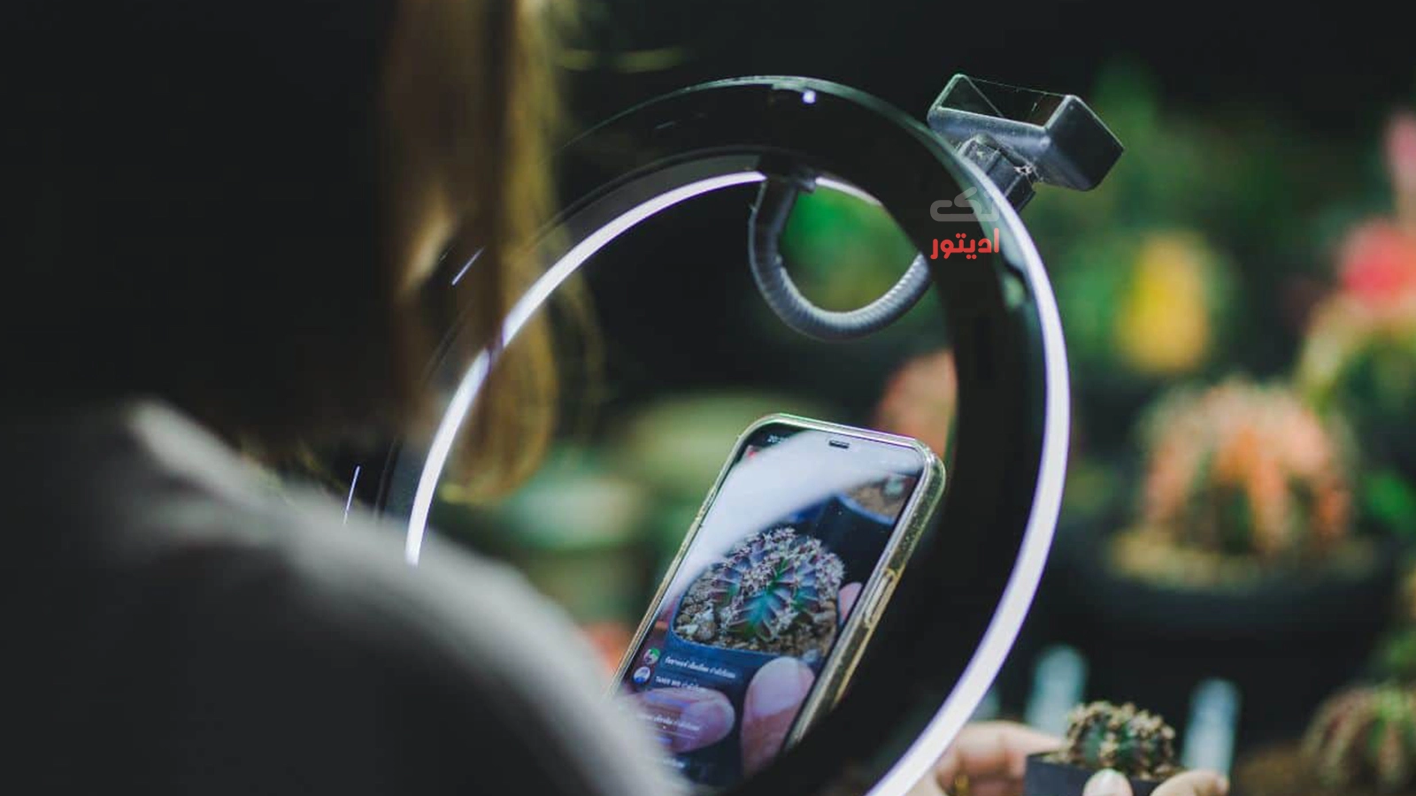 بهترین-نورپردازی-فیلمبرداری-با-موبایل